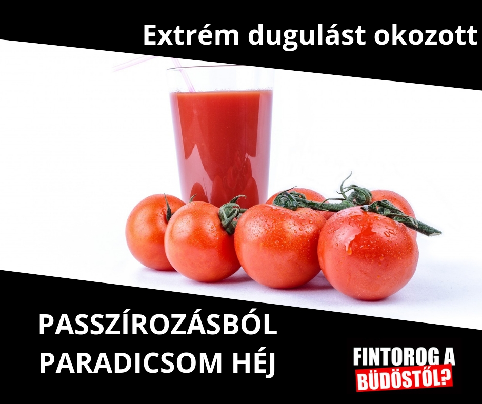 nanoweb kép