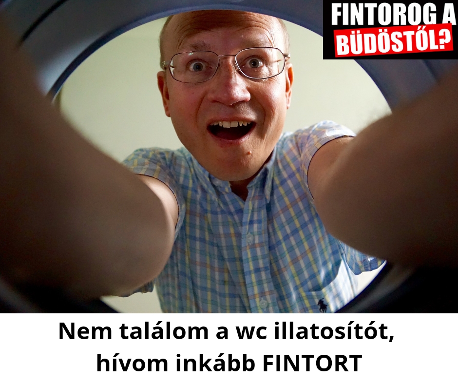 nanoweb kép